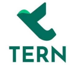 Tern